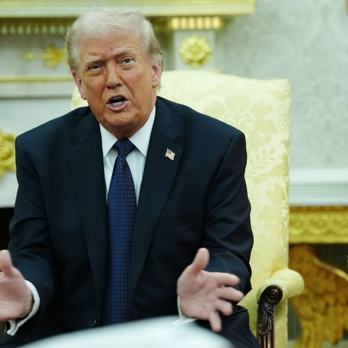 Donald Trump: Vertuschte Epstein-Akten aufgetaucht – Opfer schildert Übergriffe durch US-Präsidenten