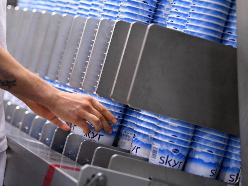 Skyr-Engpässe im Supermarkt: Deshalb ist das Molkereiprodukt aus Island überall vergriffen