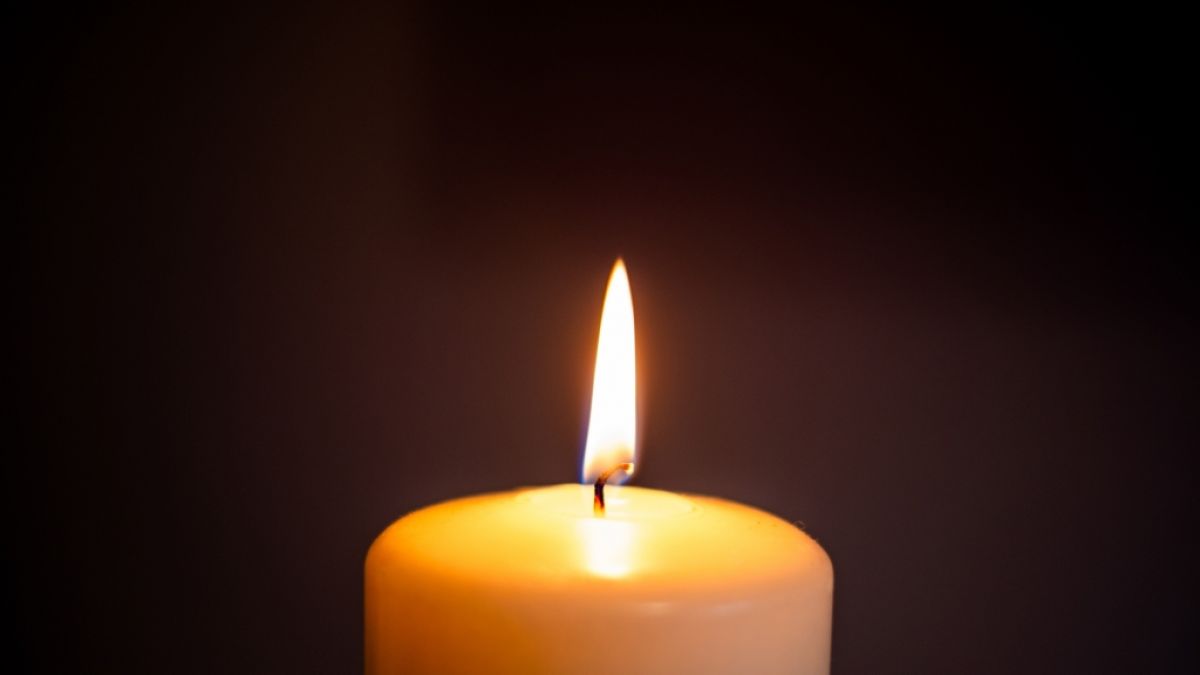 Schauspieler Stephen Hibbert ist nach einem Herzinfarkt gestorben. (Foto)