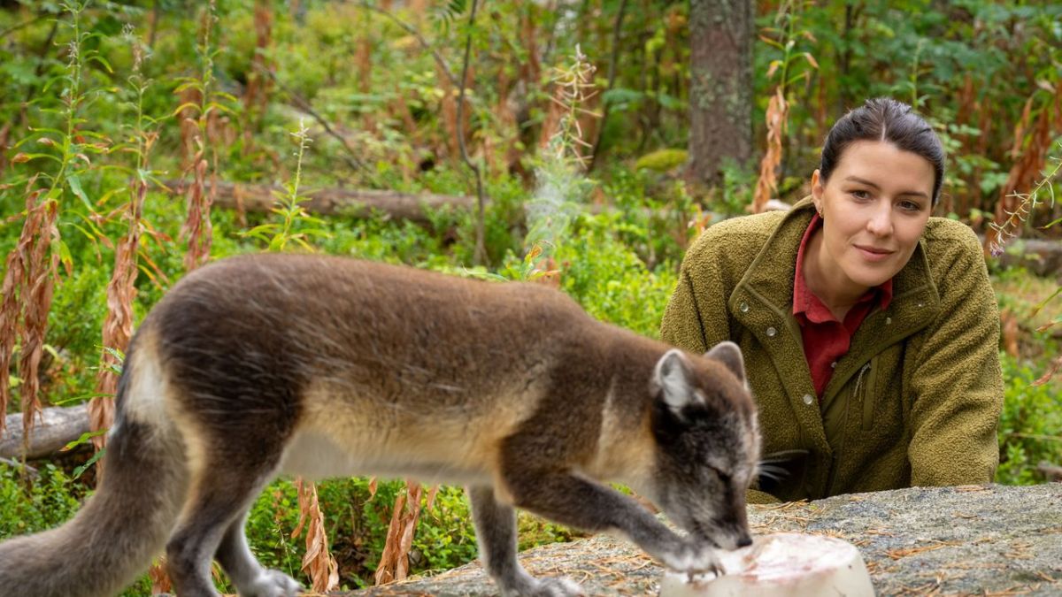 Terra X: Faszination Erde - mit Hannah Emde bei ZDF (Foto)