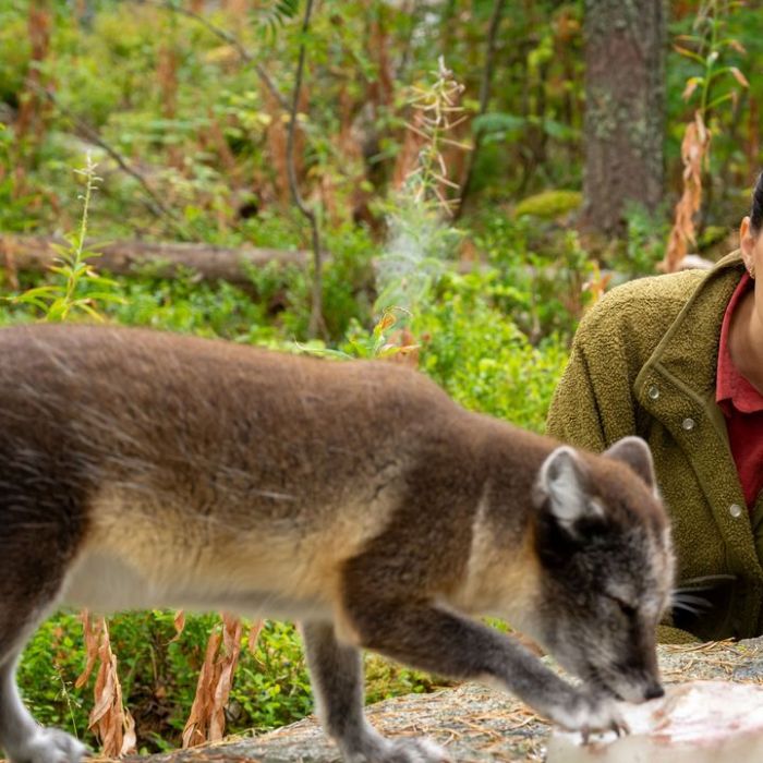 Terra X: Faszination Erde - mit Hannah Emde bei ZDF