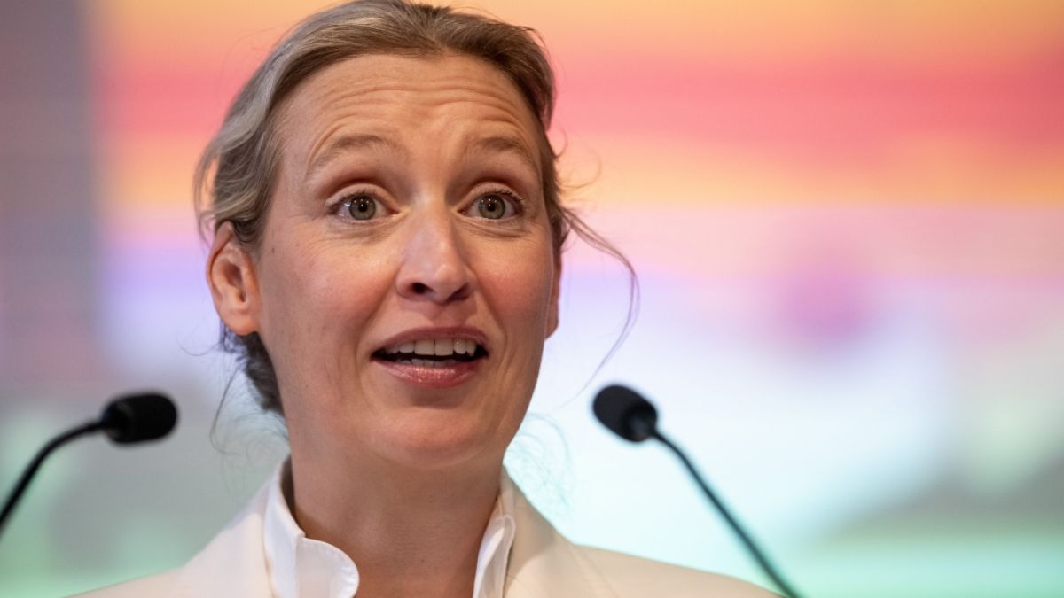 AfD-Chefin Alice Weidel reagierte in einer ARD-Sondersendung giftig auf Vorw&uuml;rfe des SPD-Generalsekret&auml;rs Tim Kl&uuml;ssendorf. (Foto)
