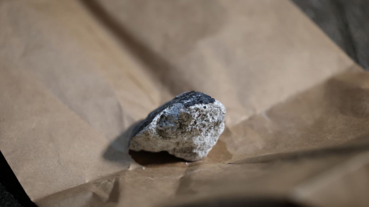 Ein wenige Zentimeter gro&szlig;es St&uuml;ck des Meteoriten. (Foto)