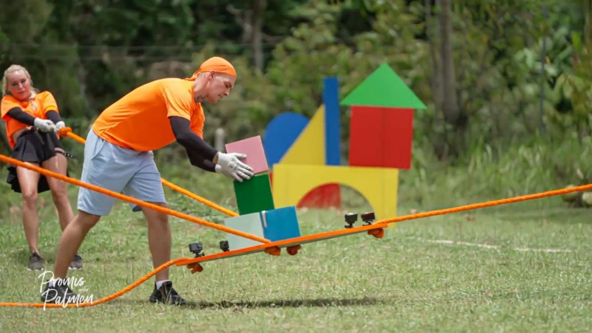 Promis unter Palmen - F&uuml;r Geld mache ich alles! bei Sat.1 (Foto)