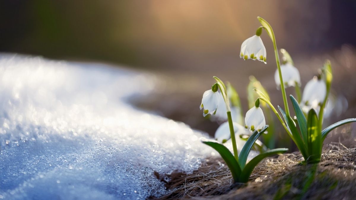 Der Winter kehrt im M&auml;rz noch einmal zur&uuml;ck. (Foto)