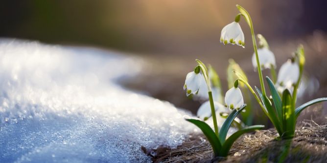 Winter kehrt im März zurück