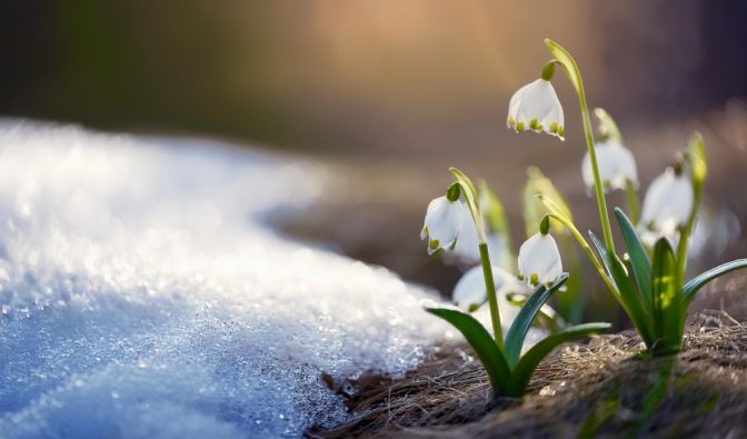 Winter-Rückkehr im März