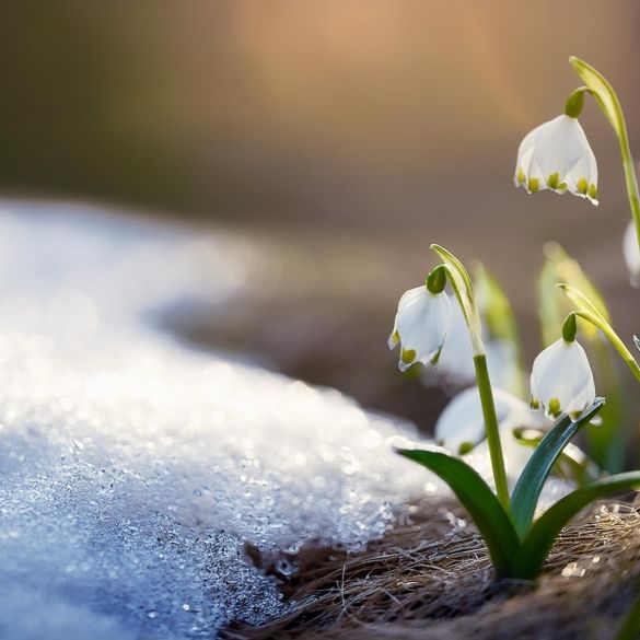Der Winter kehrt im März noch einmal zurück.