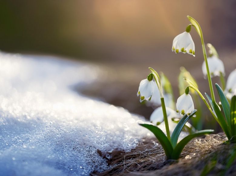 Winter-Rückkehr im März: Temperatursturz kündigt sich an - hier drohen Graupel und sogar Schnee