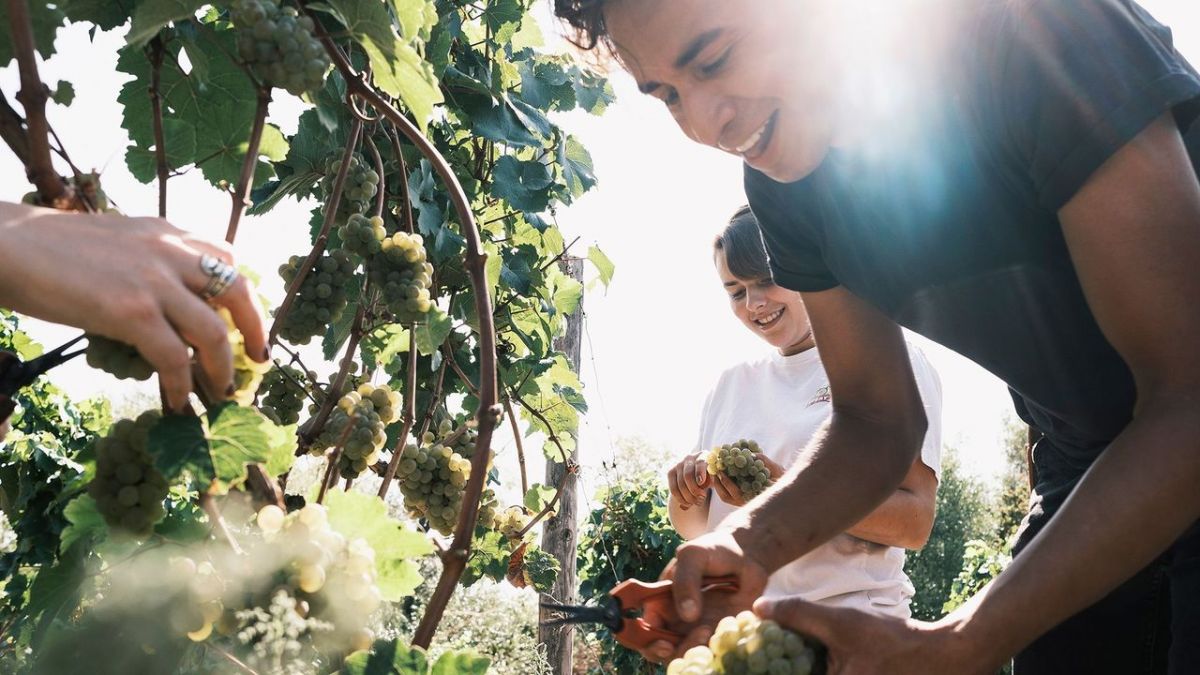 Kochstories bei 3sat (Foto)