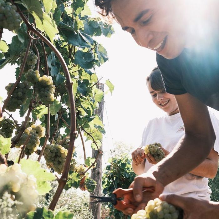 Das Kulinarikmagazin am Mittwoch, 11.3.2026