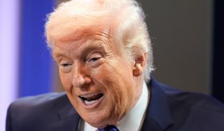 Donald Trump treibt sein milliardenschweres Projekt gegen die asiatische Karpfeninvasion im Michigansee voran.