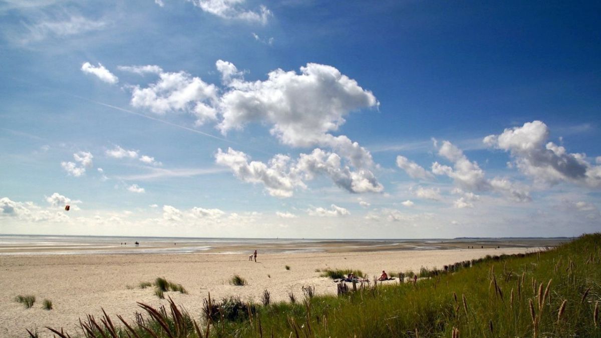 Wundersch&ouml;n! bei 3sat (Foto)