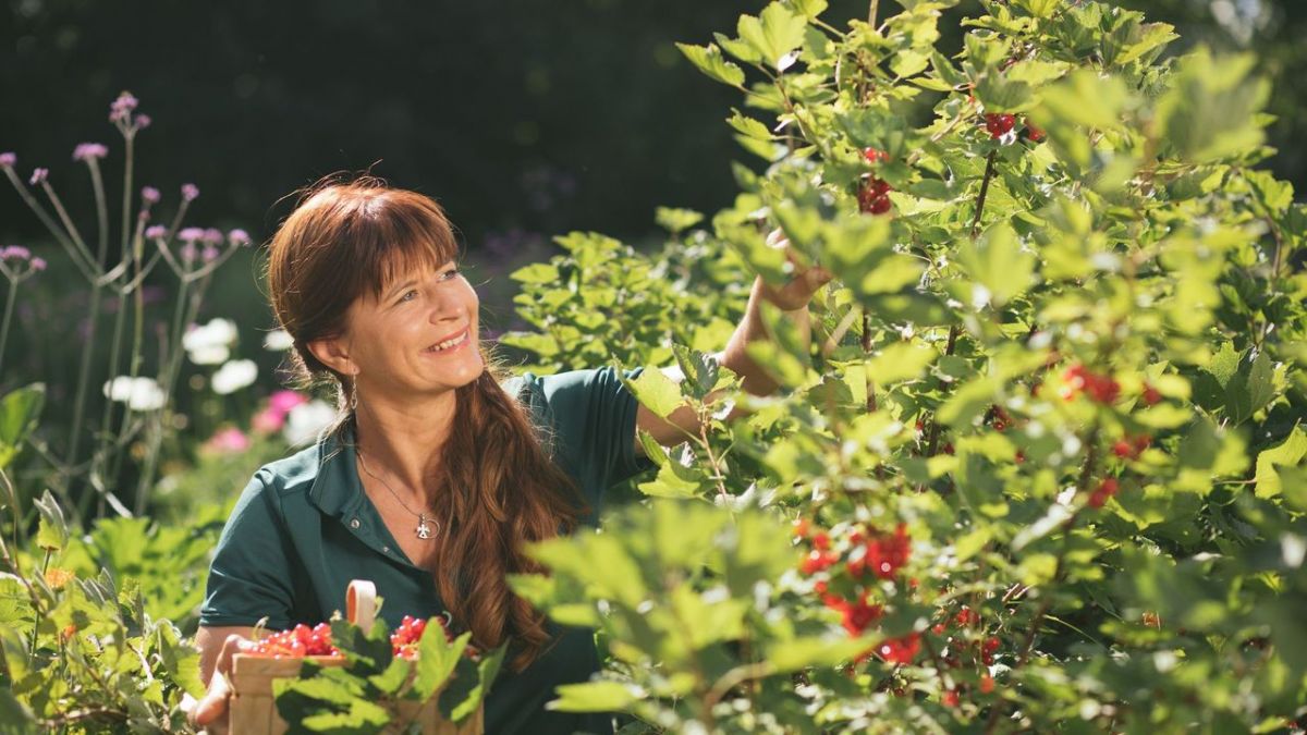 Querbeet bei 3sat (Foto)