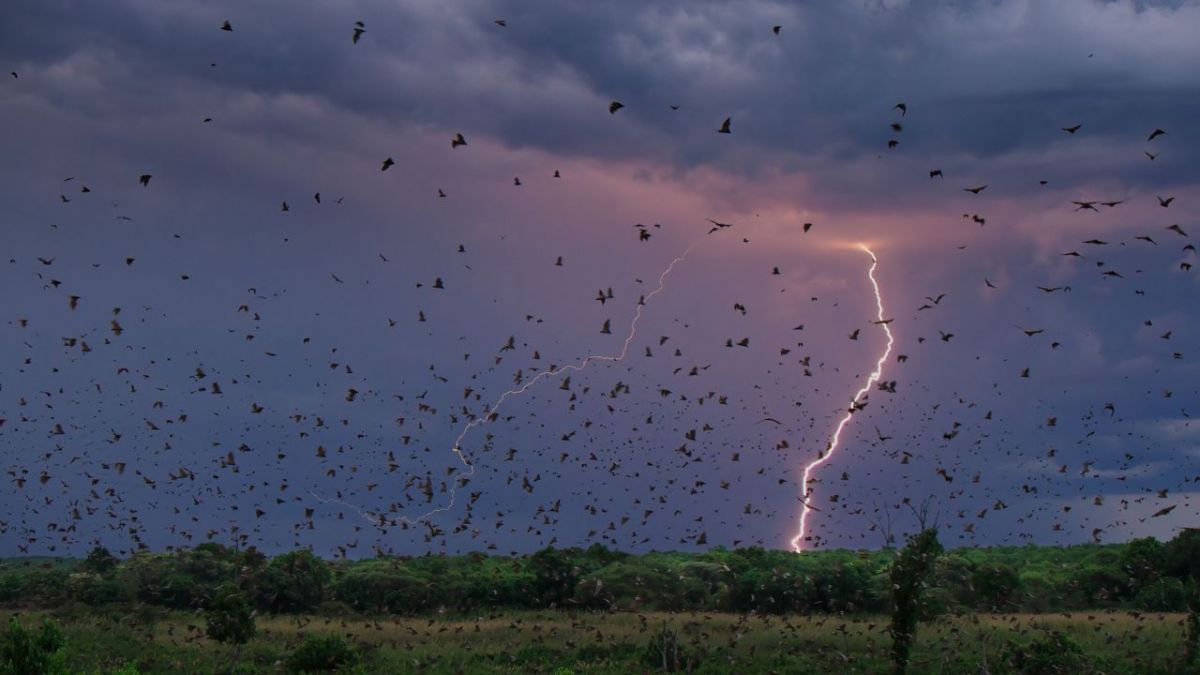 Ein perfekter Planet bei 3sat (Foto)