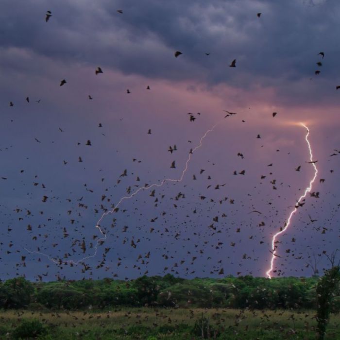 Wiederholung vom Donnerstag im TV und online