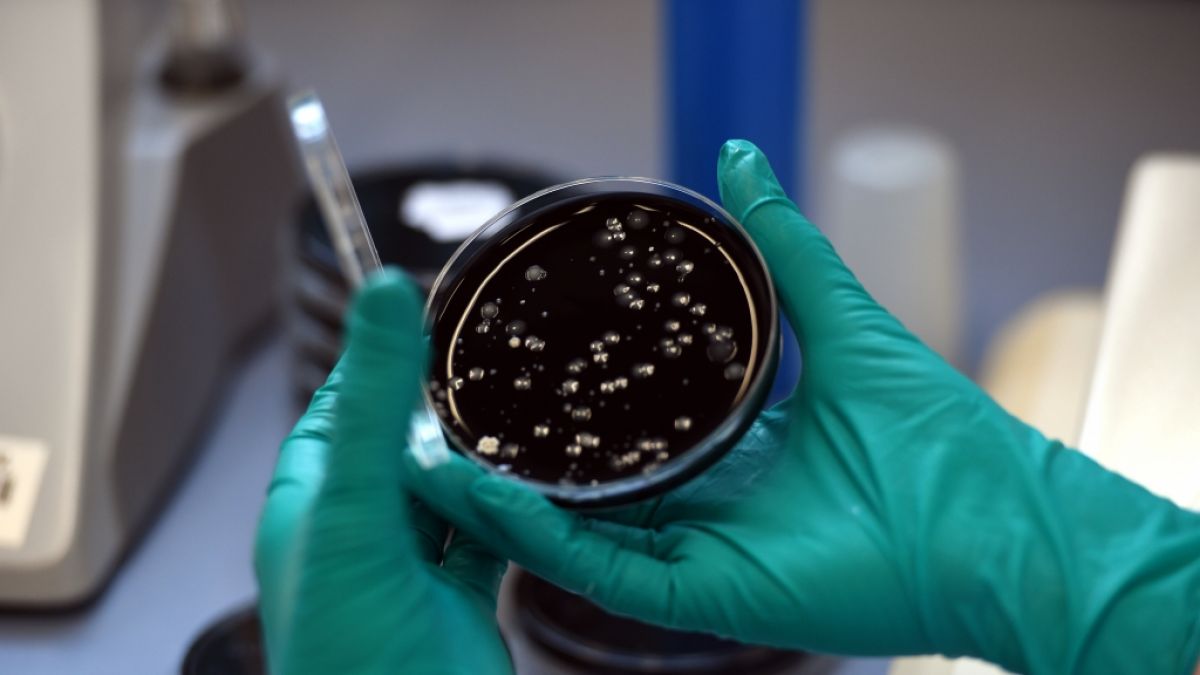 In London wurden zwei F&auml;lle der Legion&auml;rskrankheit gemeldet. (Foto)