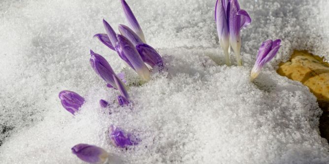 Märzwinter im Anmarsch