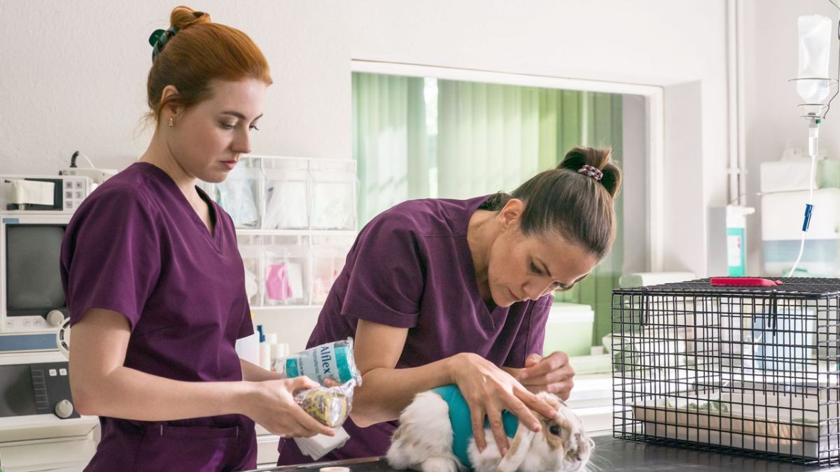 Zwei Frauen f&uuml;r alle Felle bei Das Erste (Foto)