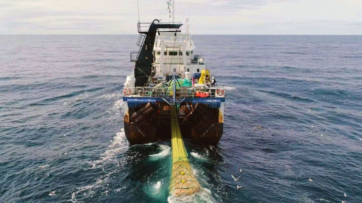 Stadt Land Kunst bei Arte (Foto)