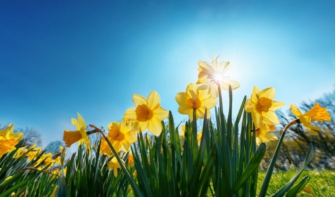 Wettergrenze spaltet Deutschland