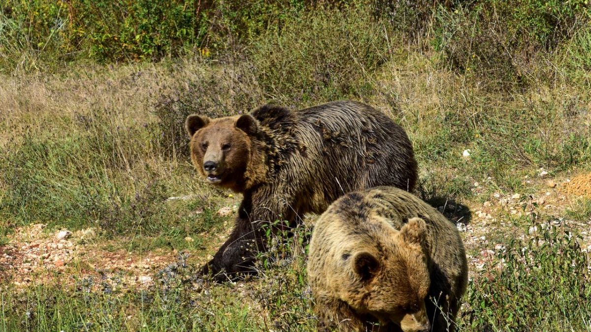 Der Apennin - Italiens Naturparadies bei 3sat (Foto)