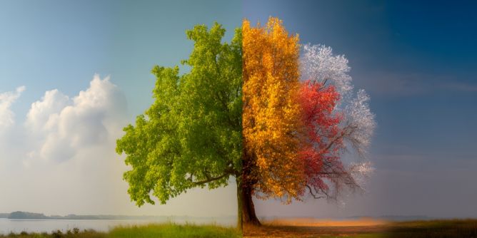 Hundertjähriger Kalender für 2026/2027