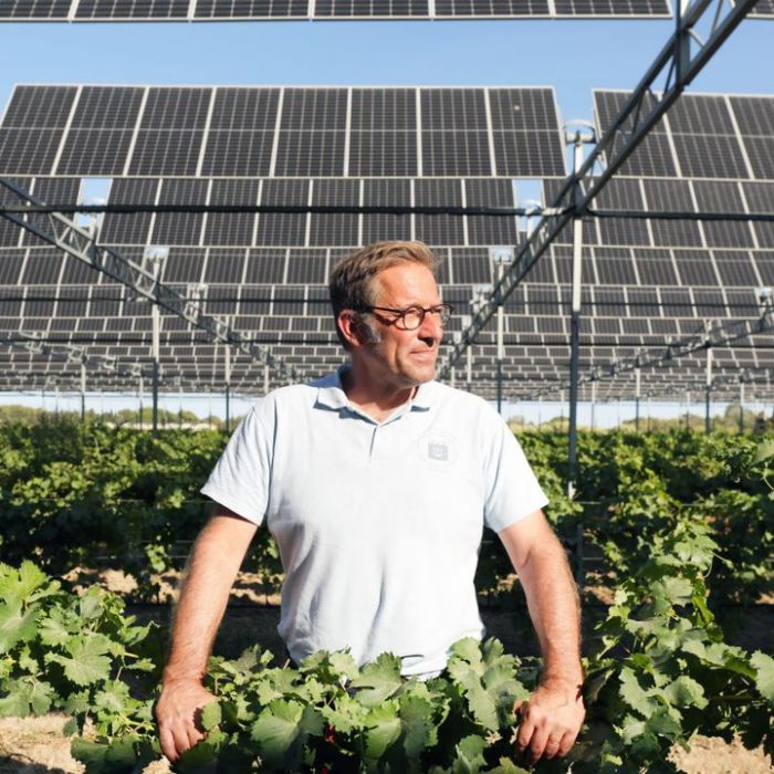 Wiederholung und Mediathek zur Sendung