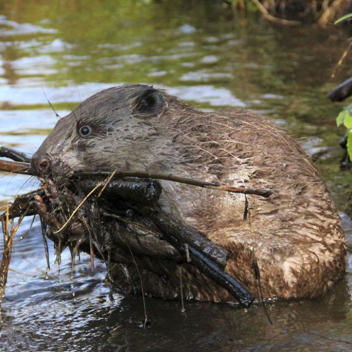 Wiederholung vom Dienstag im TV und online