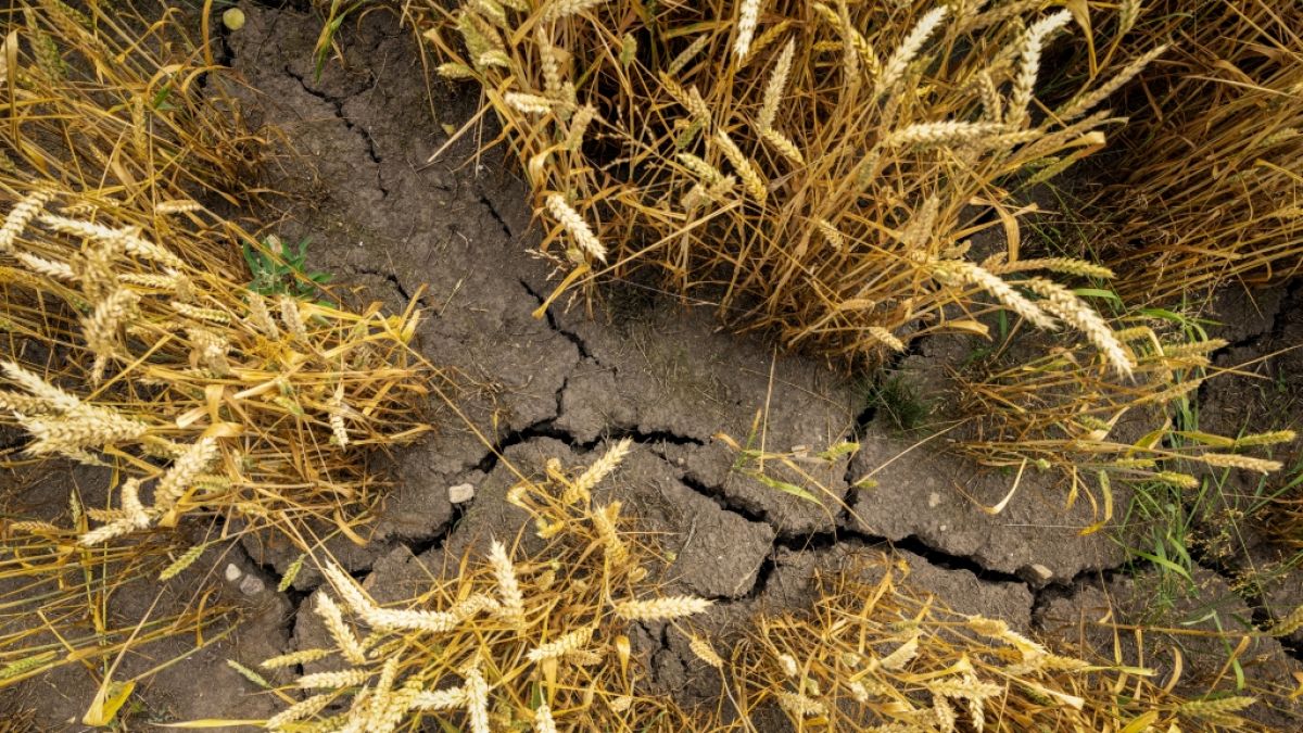 Droht der Welt ein Super-El-Ni&ntilde;o? (Foto)