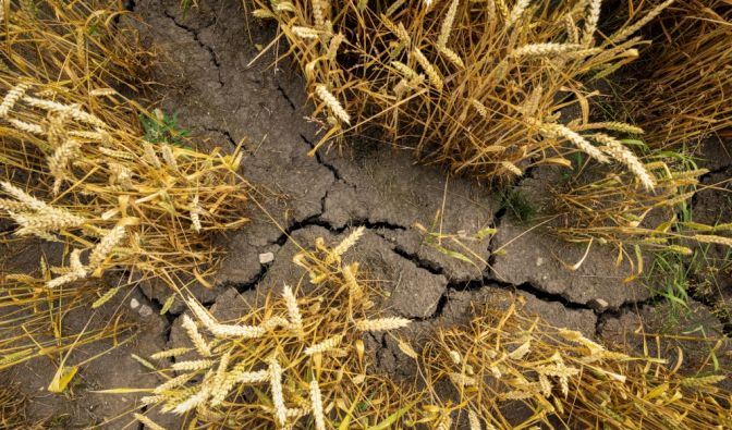 Super-El-Niño befürchtet