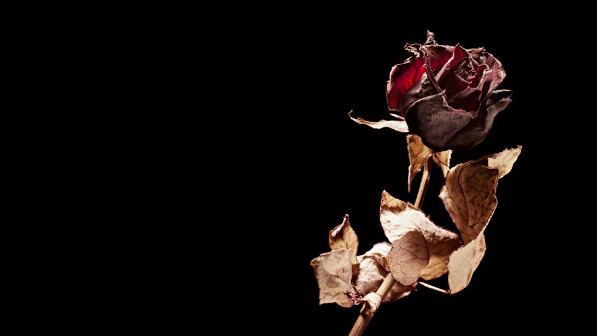 Bettina K&ouml;ster ist mit 66 Jahren an Krebs gestorben. (Foto)