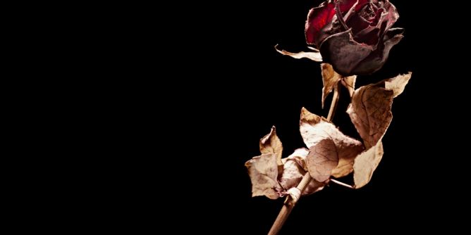 Bettina Köster ist tot