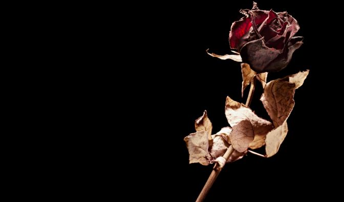 Bettina Köster ist tot