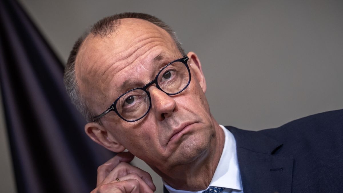 Ein Top-&Ouml;konom hat Friedrich Merz abgewatscht. (Foto)