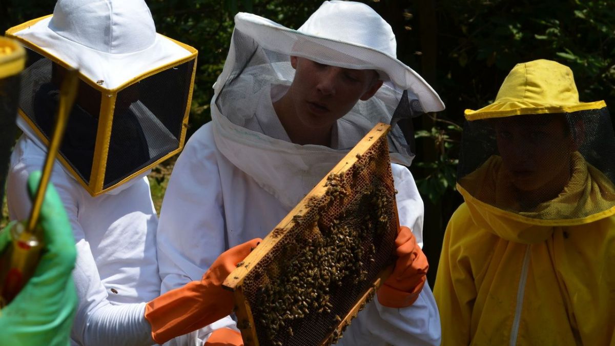 Die Jungs-WG: Sommer. Sonne. Elternfrei. bei ZDF (Foto)