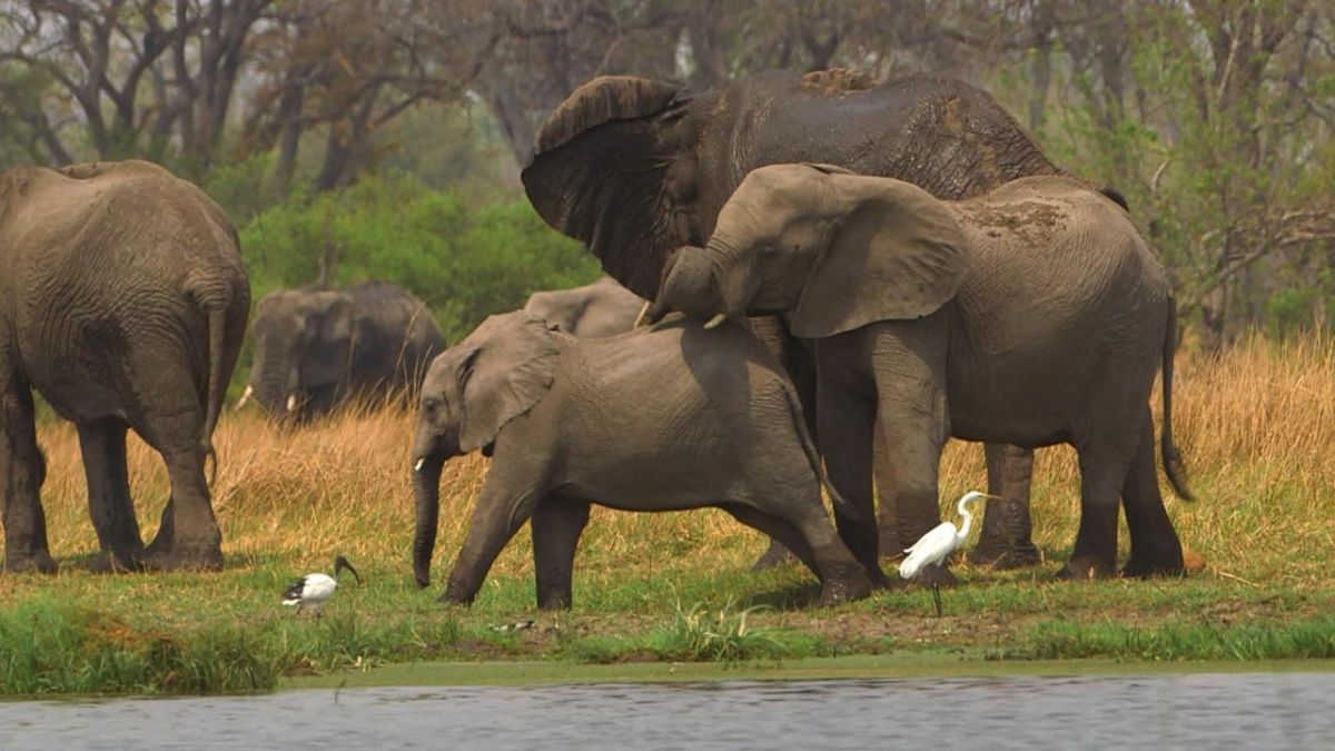 Stadt Land Kunst Spezial bei Arte (Foto)