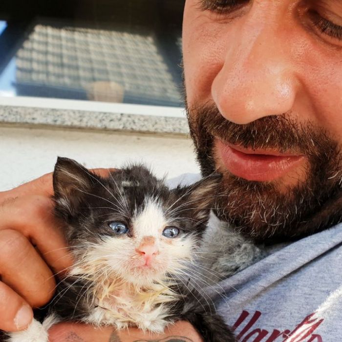 Wiederholung und Mediathek zur Sendung