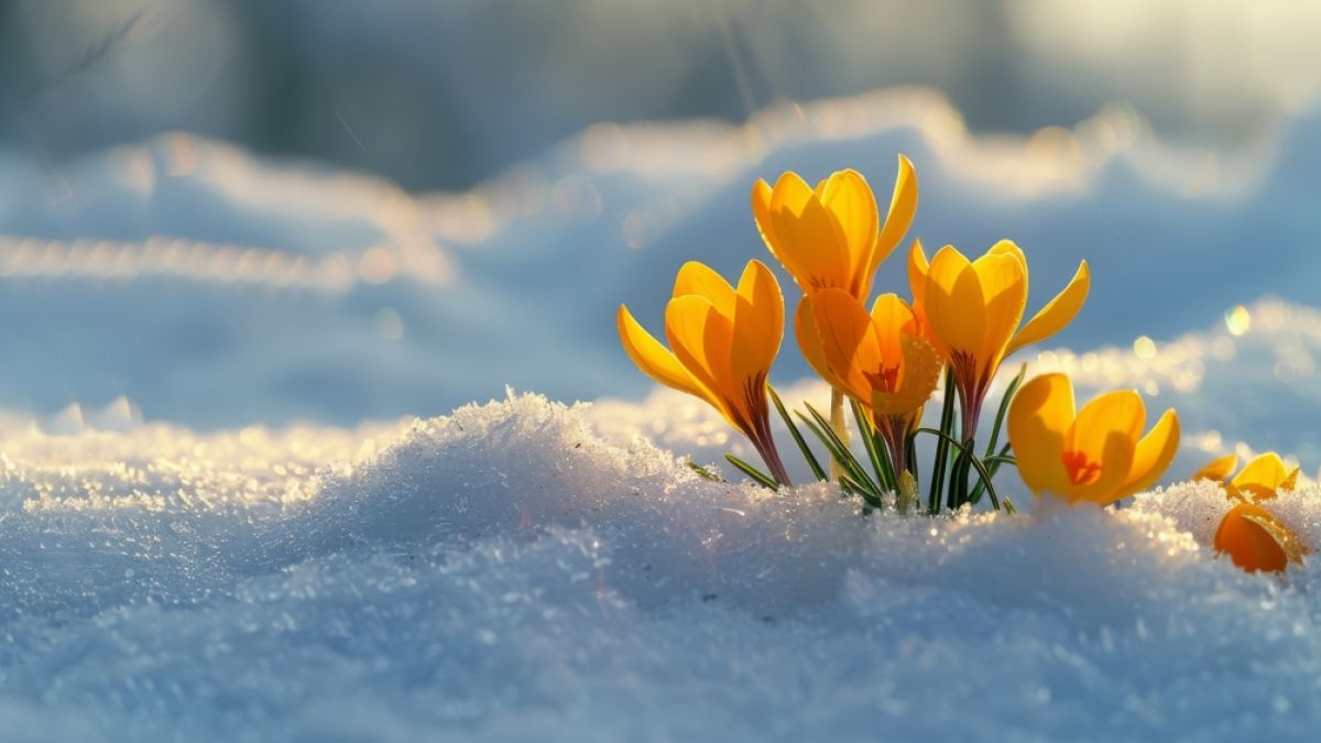 Es kommt erneut zum Wintereinbruch. (Foto)