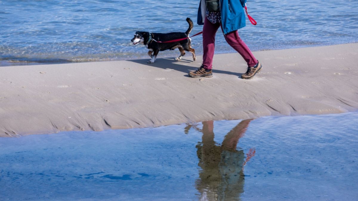 An Ostseestr&auml;nden sind bestimmte Aktivit&auml;ten k&uuml;nftig nur noch eingeschr&auml;nkt m&ouml;glich. (Foto)
