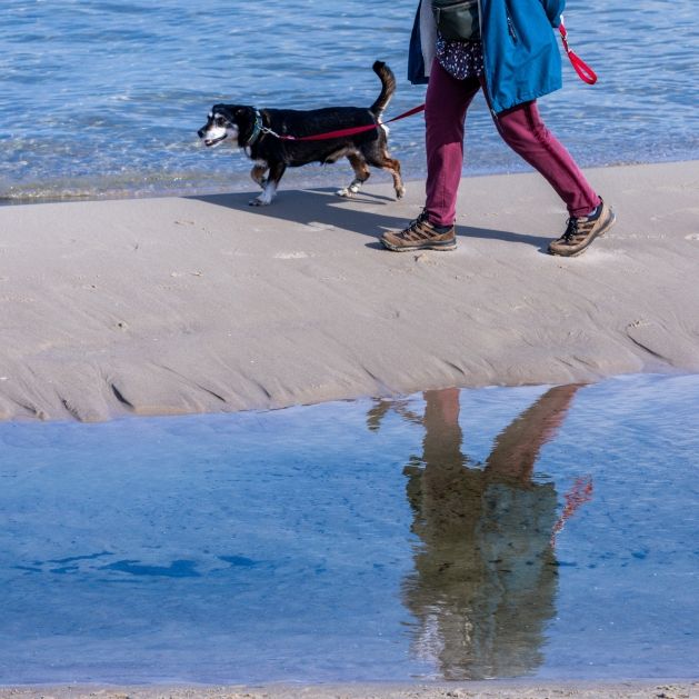 Das müssen Urlauber zu den neuen Ostsee-Verboten wissen
