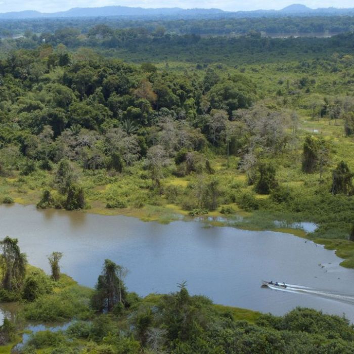 Wann und wo man die Wiederholung sehen kann