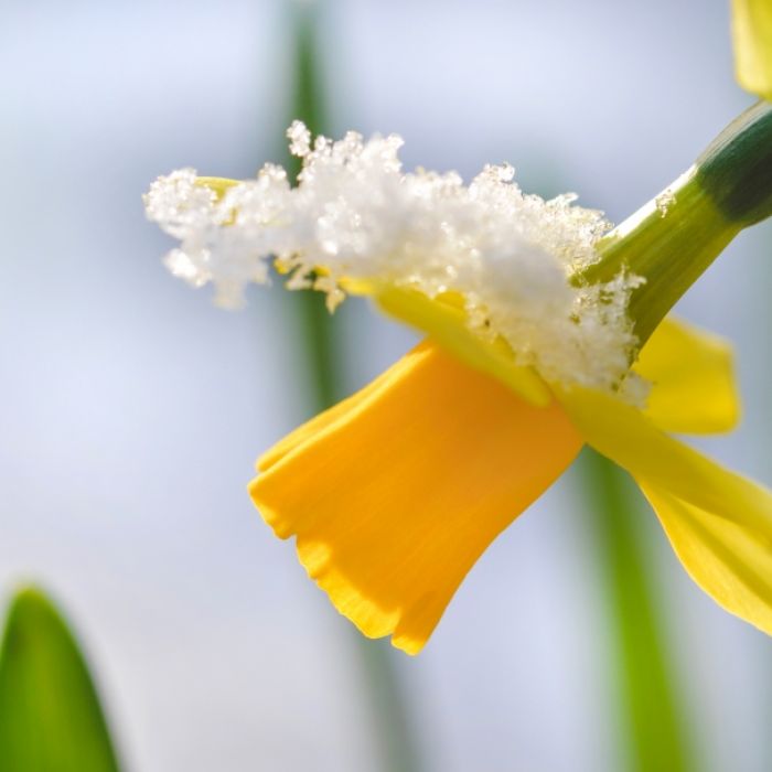 Schnee-Schock zum Ferienstart