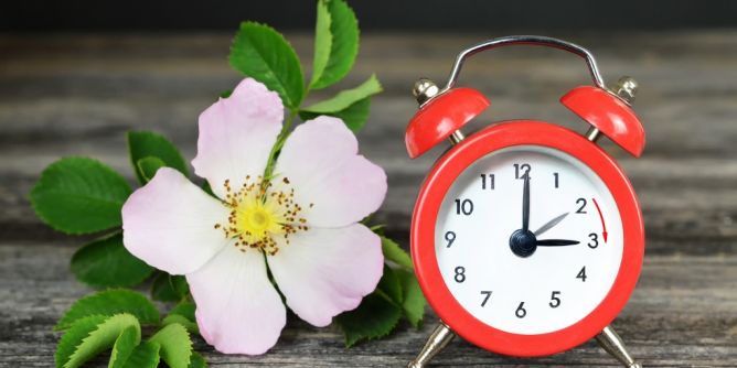 Zeitumstellung am 29.03.2026