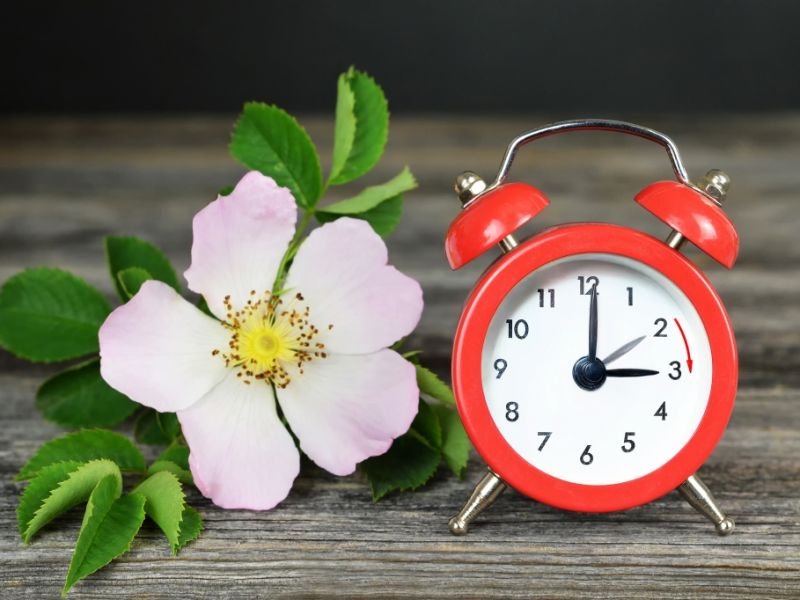 Zeitumstellung am 29.03.2026: Abschaffungspläne gescheitert? Warum Europa weiterhin an der Uhr dreht