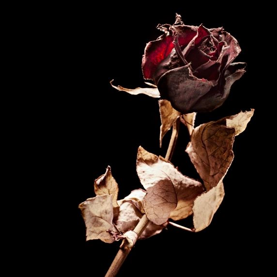 Fans trauern nach dem Tod von Schauspieler James Tolkan.