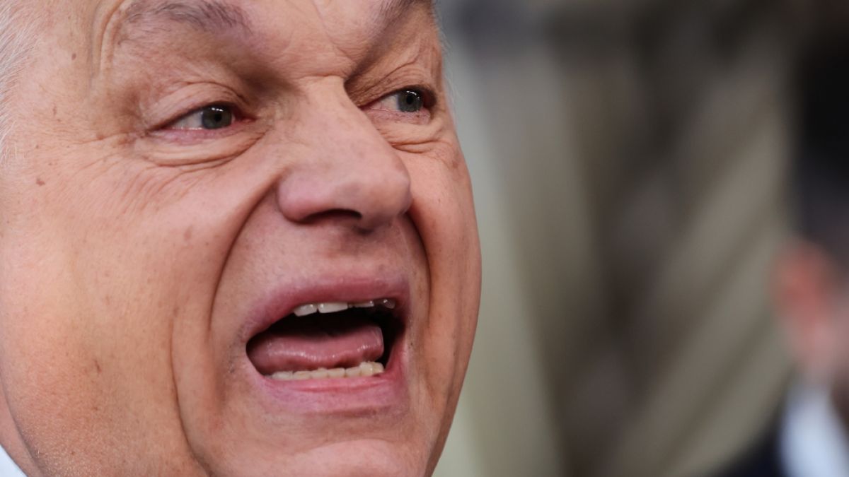 Viktor Orb&aacute;n konnte bei einem Wahlkampfauftritt nicht mehr an sich halten. (Foto)