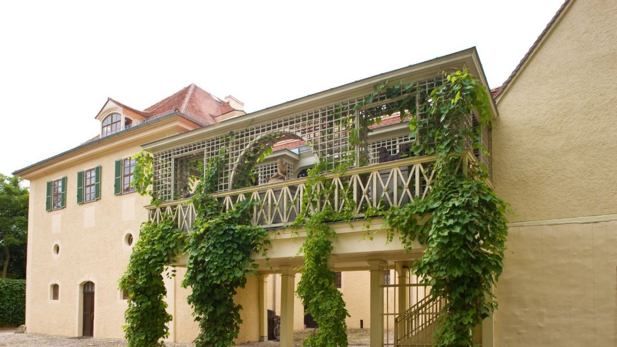 Mein Lokal, Dein Lokal - Der Profi kommt bei Kabel Eins (Foto)