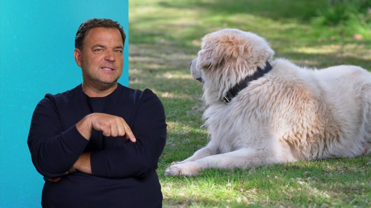 Die Unvermittelbaren - Mit Martin R&uuml;tter bei RTL (Foto)