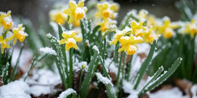 März endet mit Kälte-Schock